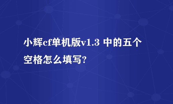 小辉cf单机版v1.3 中的五个空格怎么填写?