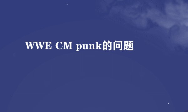 WWE CM punk的问题