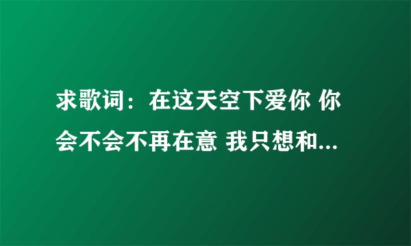 求歌词：在这天空下爱你 你会不会不再在意 我只想和你简单在一起歌词