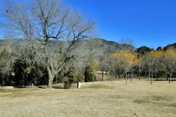 数九寒天冷风嗖绕口令是什么？