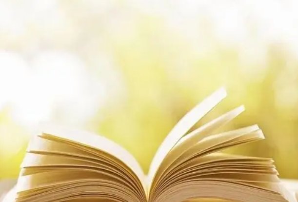 貌不惊人打一正确动物