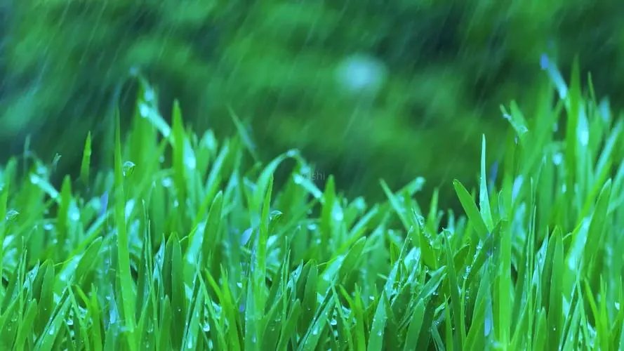 一年级从字造句