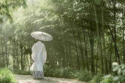 我沉沦了几回是什么歌