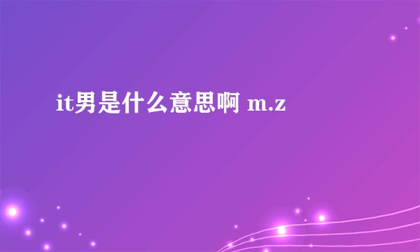 it男是什么意思啊 m.z
