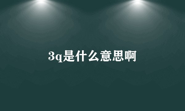 3q是什么意思啊