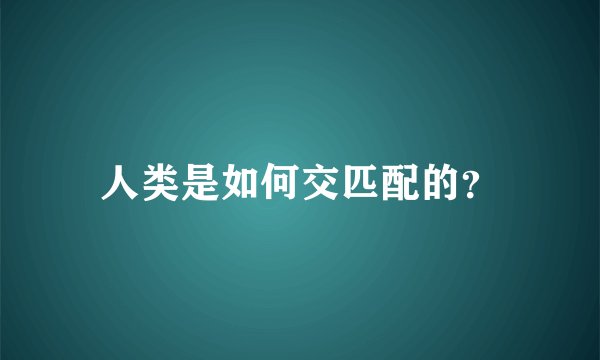 人类是如何交匹配的？