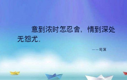 意到浓时怎忍舍，情到深处无怨尤是什么意思？