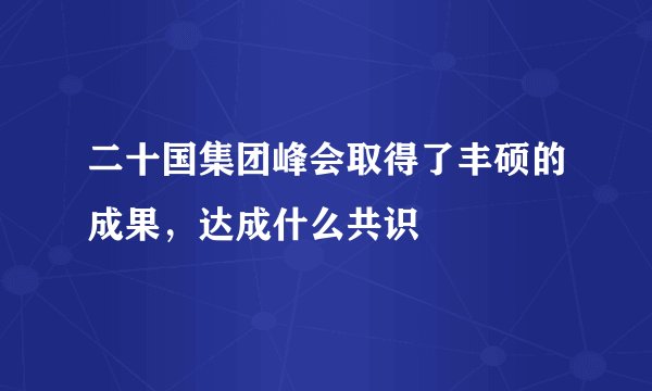 二十国集团峰会取得了丰硕的成果，达成什么共识