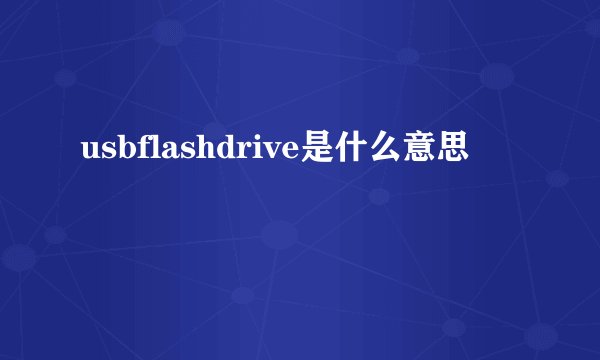 usbflashdrive是什么意思