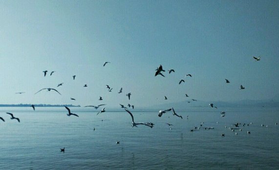 昆明经常下雨吗？