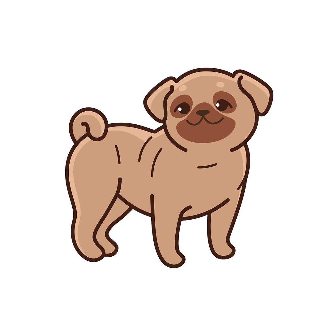 赤子之心打一准确生肖