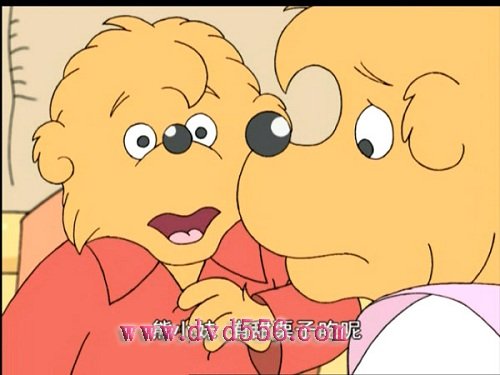 小熊一族的介绍