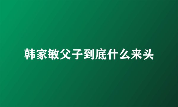 韩家敏父子到底什么来头