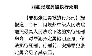 罪犯张定勇被执行死刑，他被执行死刑的原因是什么？