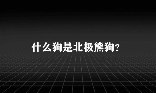 什么狗是北极熊狗？
