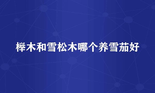 榉木和雪松木哪个养雪茄好