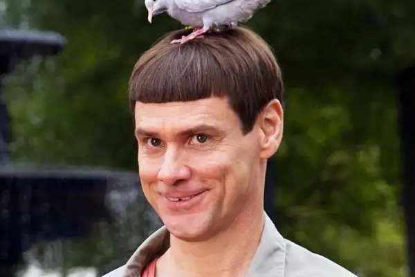 金凯瑞的经典电影