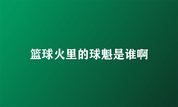 篮球火里的球魁是谁啊