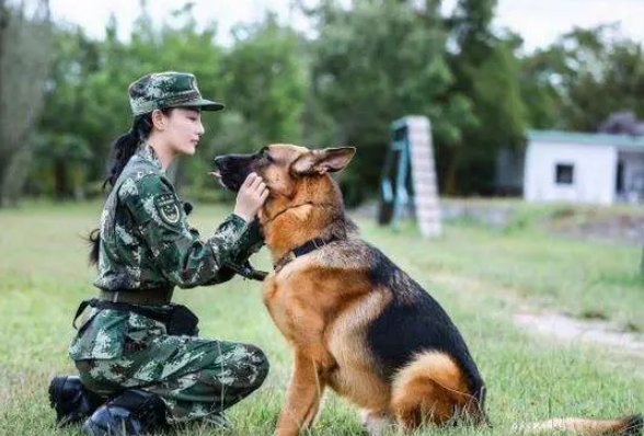 神犬奇兵演员表全部