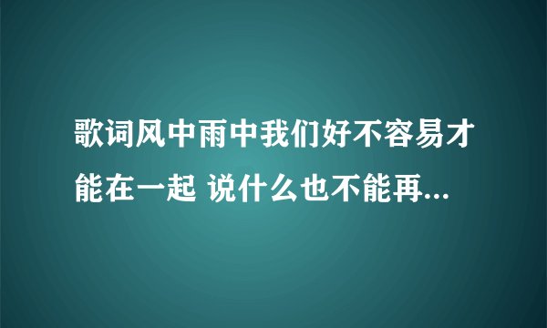歌词风中雨中我们好不容易才能在一起 说什么也不能再让你离我而去