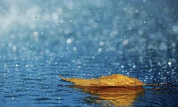 女生送男生围巾的意义是什么呢？