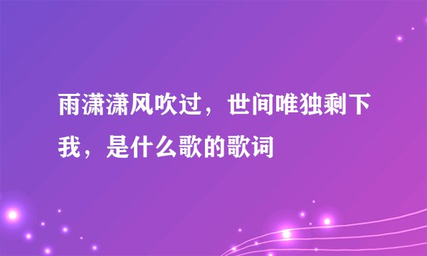 雨潇潇风吹过，世间唯独剩下我，是什么歌的歌词