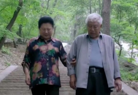 刘家媳妇大结局是什么？怎么评价这部电视剧