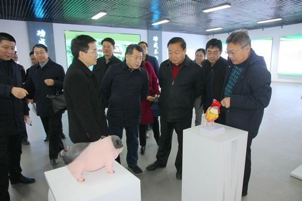 涿州教育局电话是多少