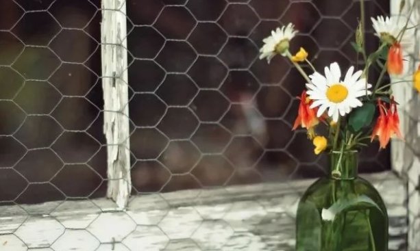 聊天时bb是什么意思？