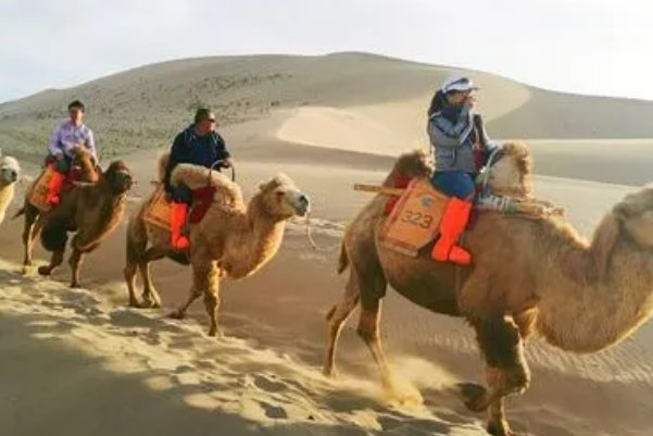 联通万里的钢铁骆驼队指什么