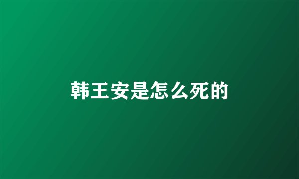 韩王安是怎么死的