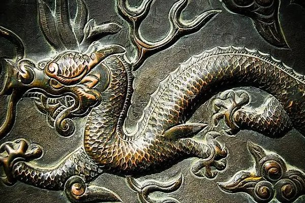 一手遮天打一生肖动物