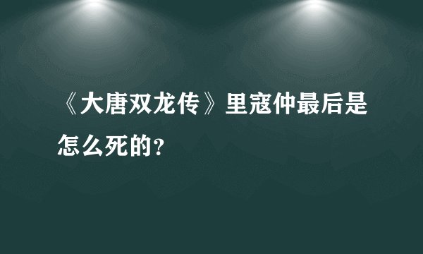 《大唐双龙传》里寇仲最后是怎么死的？