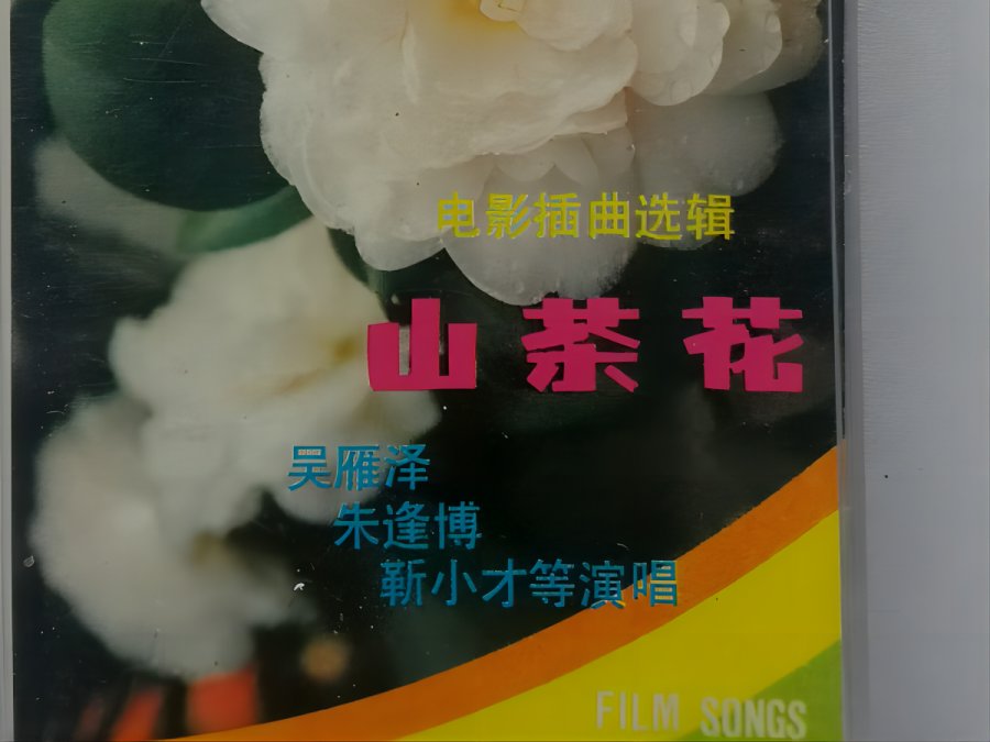 山茶花完整版歌词