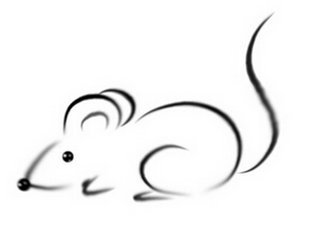 一心二用是什么动物