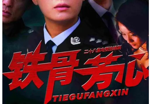 廖芳华局长是什么电视剧?