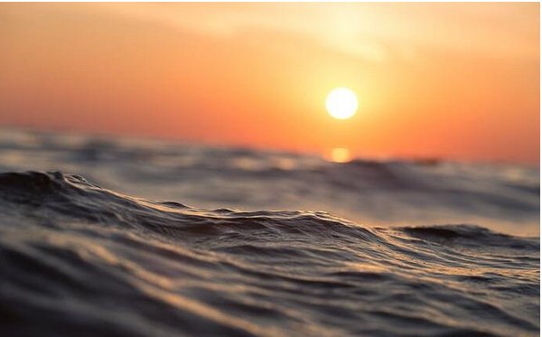 拾金不昧的锦旗怎么写