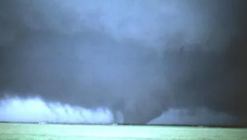 东莞龙吸水是什么意思