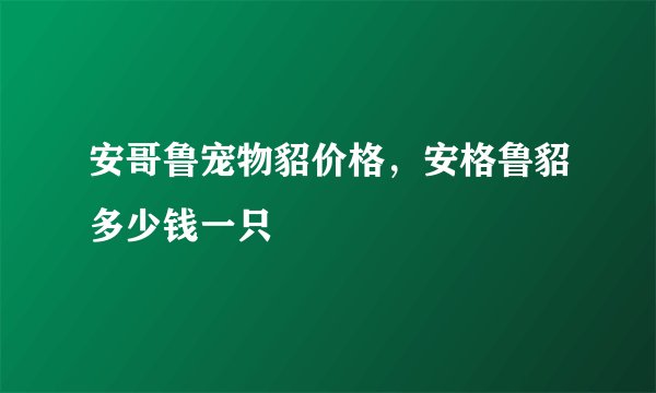 安哥鲁宠物貂价格，安格鲁貂多少钱一只