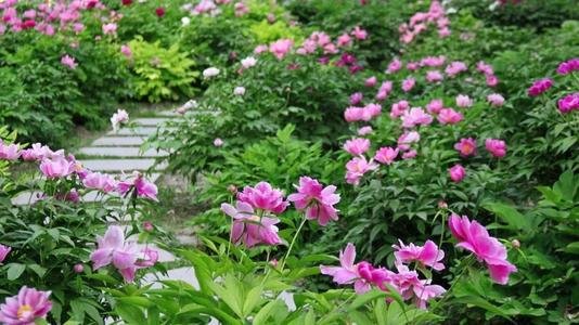 春日五首其一写了哪些景物.构成了一幅怎样的画面▽