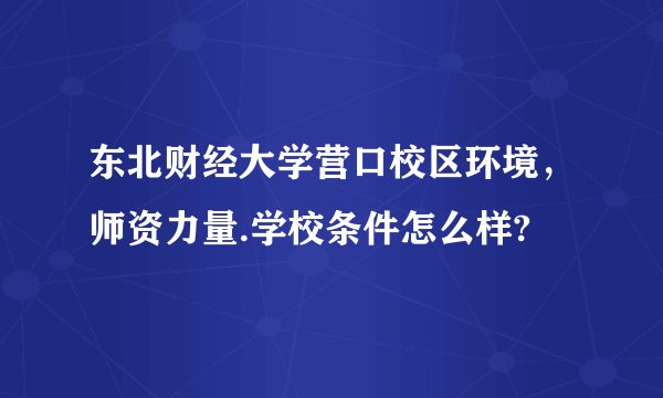 东北财经大学营口校区环境，师资力量.学校条件怎么样?