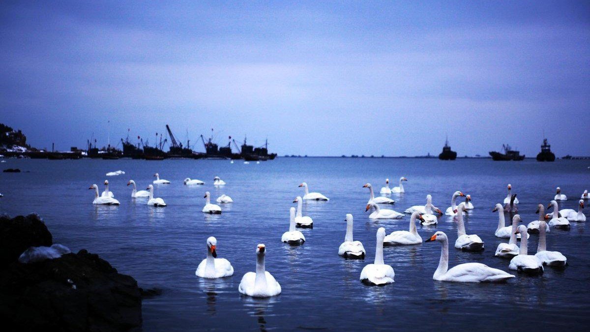 四平旅游必去十大景点