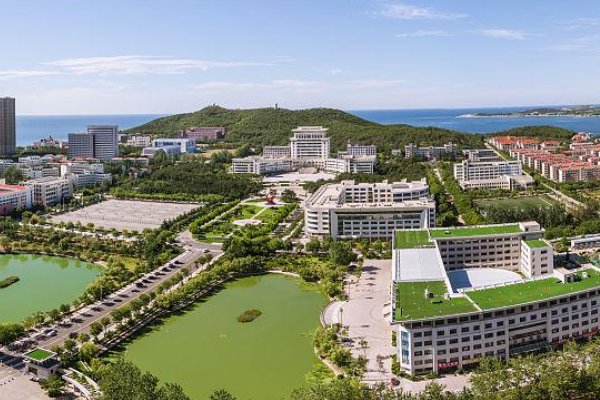 山东大学威海分校中外合作办学怎么样