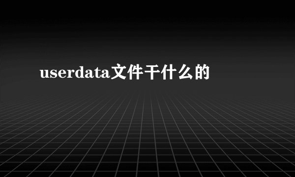 userdata文件干什么的