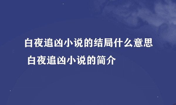 白夜追凶小说的结局什么意思 白夜追凶小说的简介