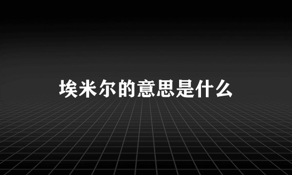 埃米尔的意思是什么
