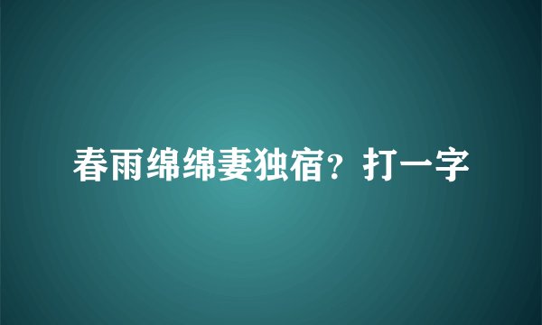 春雨绵绵妻独宿？打一字