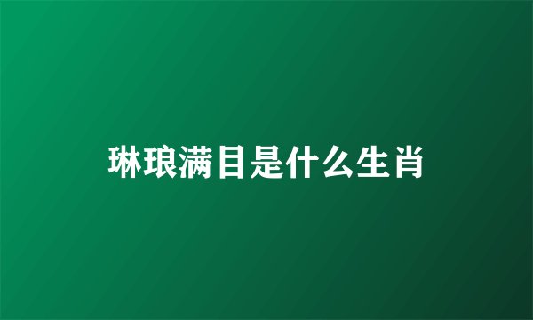 琳琅满目是什么生肖