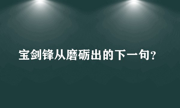 宝剑锋从磨砺出的下一句？