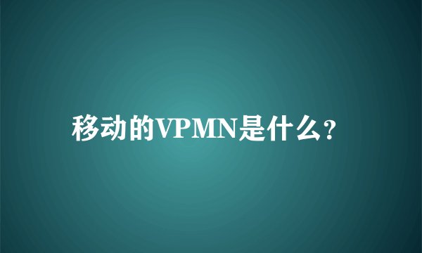 移动的VPMN是什么？